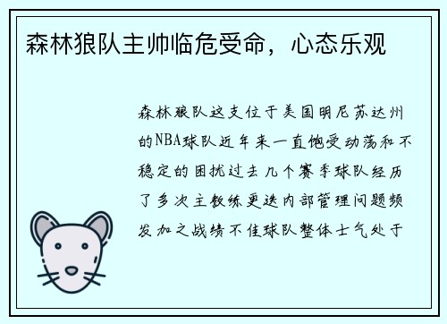 森林狼队主帅临危受命，心态乐观